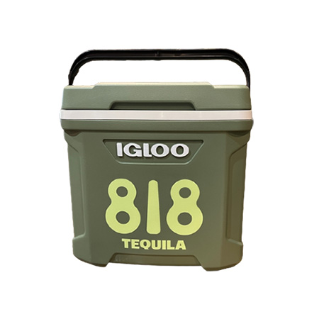 818 Eco-friendly Igloo Cooler