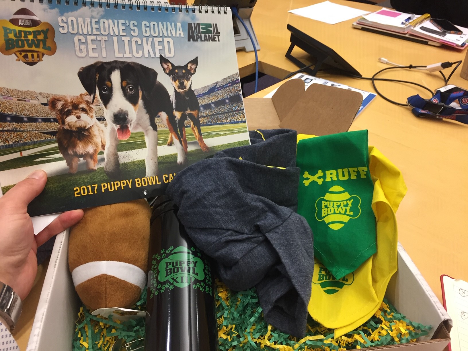 Puppy Bowl Swag Kit